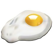 Supp oeuf