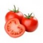 Supp tomates