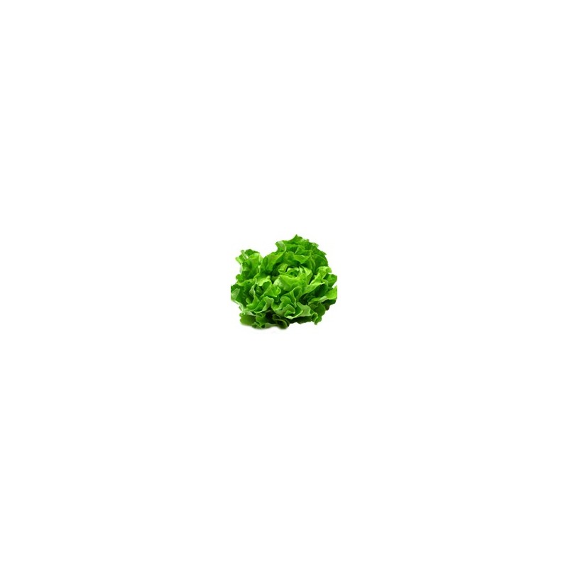 Sans salade